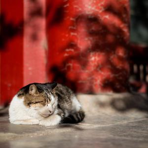 高h抽插乱伦视频
